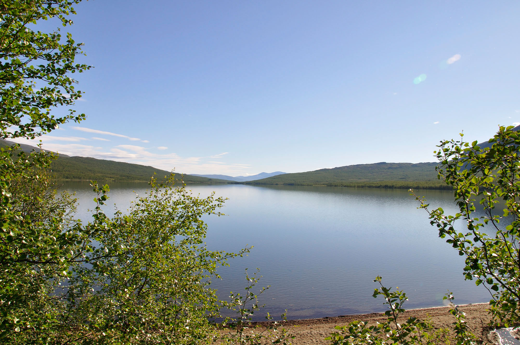 Abisko2010_w71.jpg