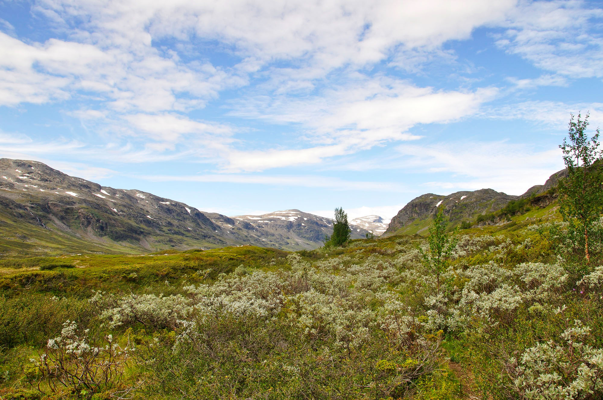 Abisko2010_w84.jpg