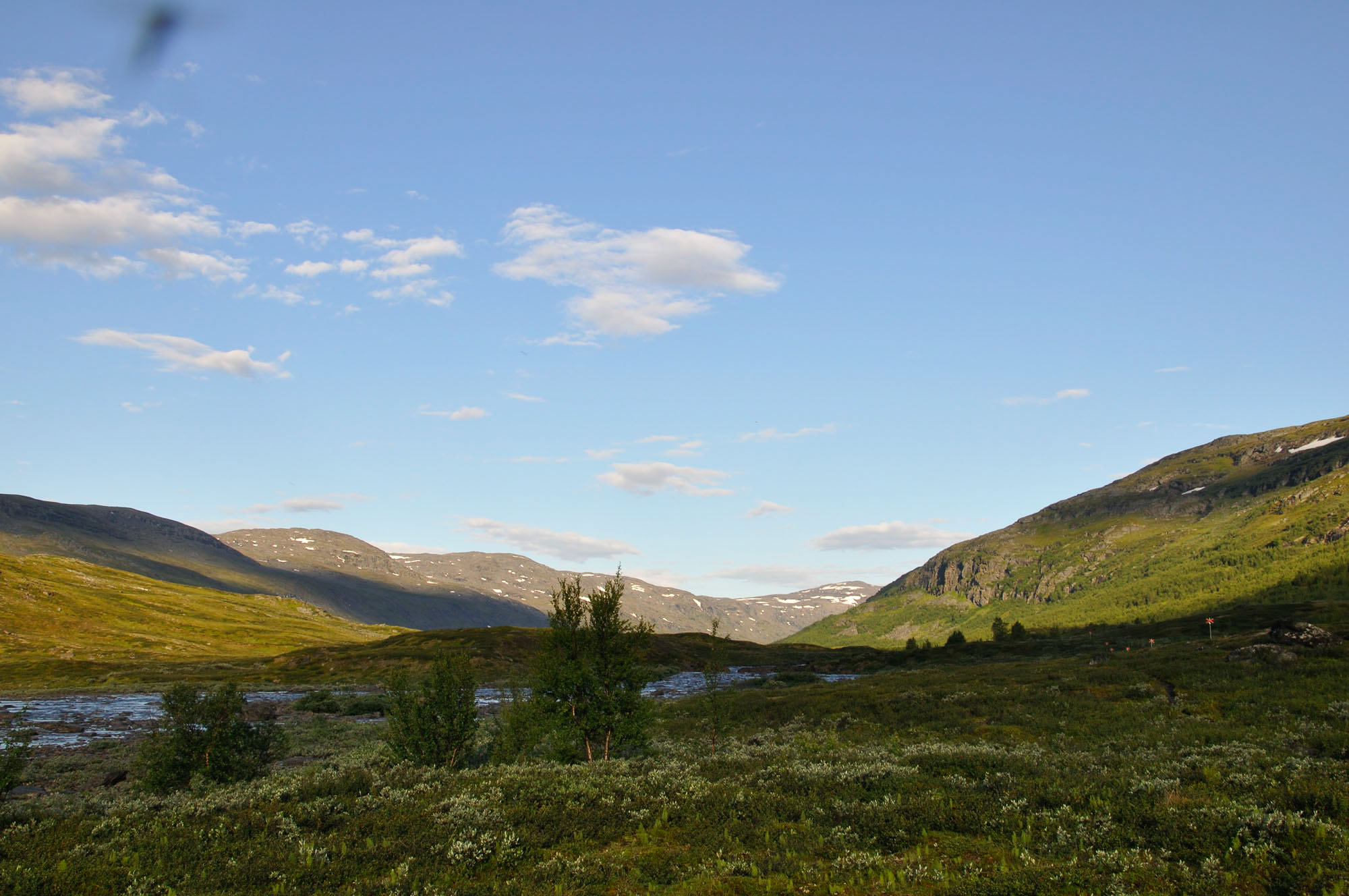 Abisko2010_w88.jpg