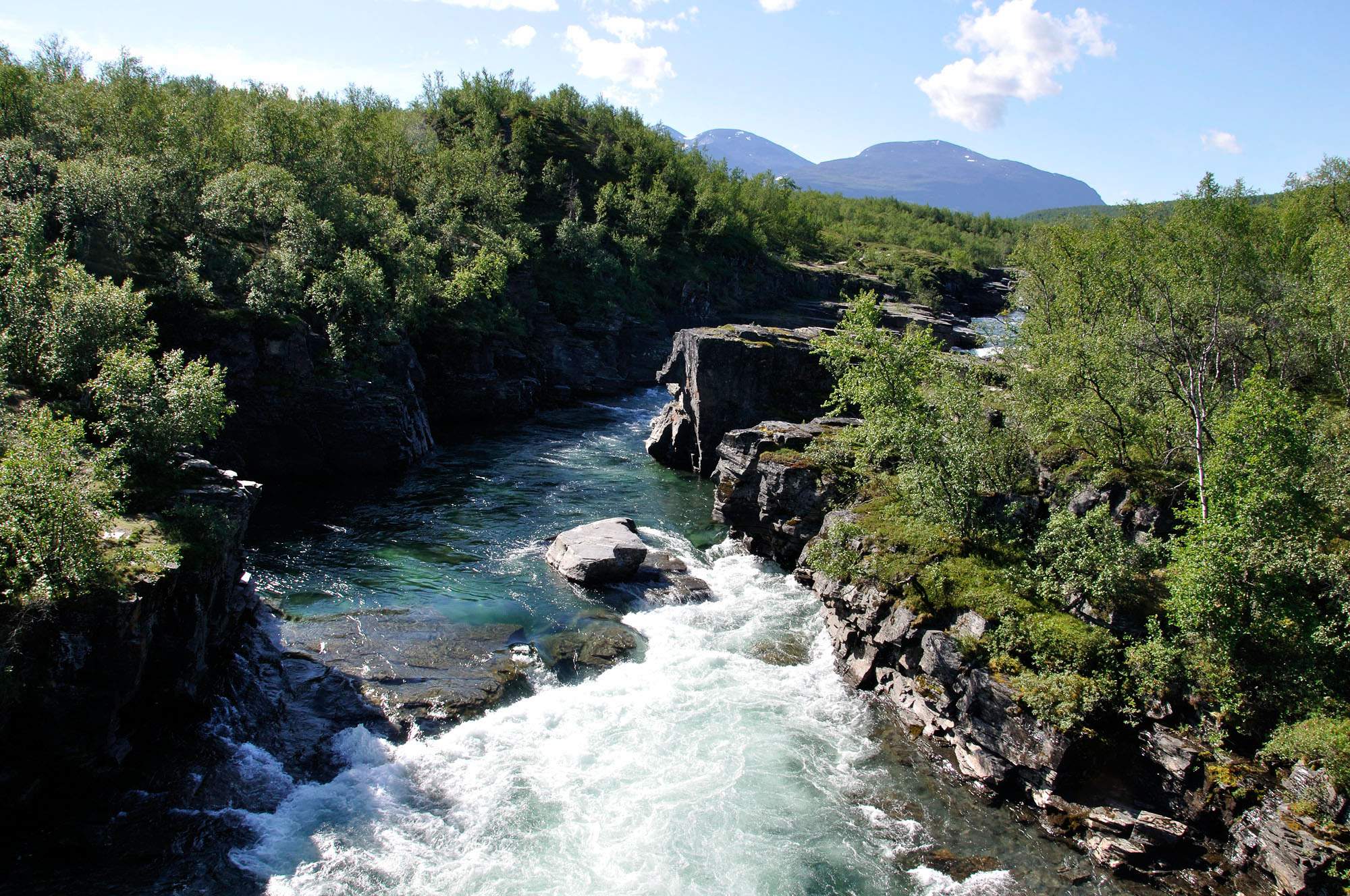 Abisko2010_w88c.jpg