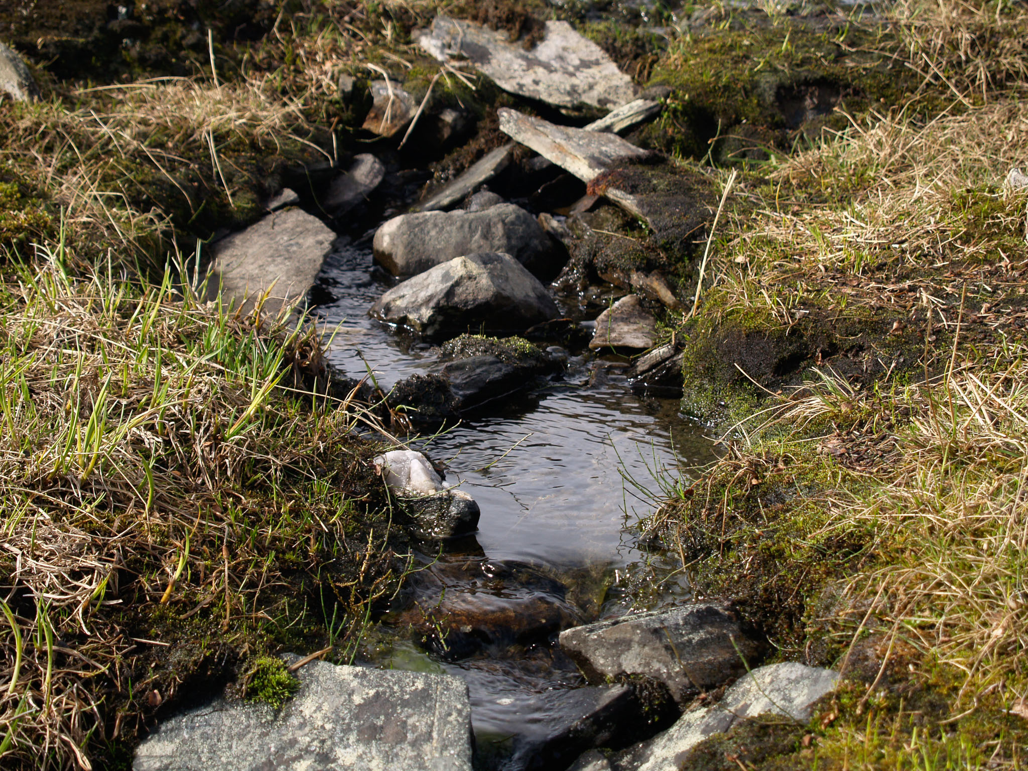 Sarek2007_WEB123.jpg