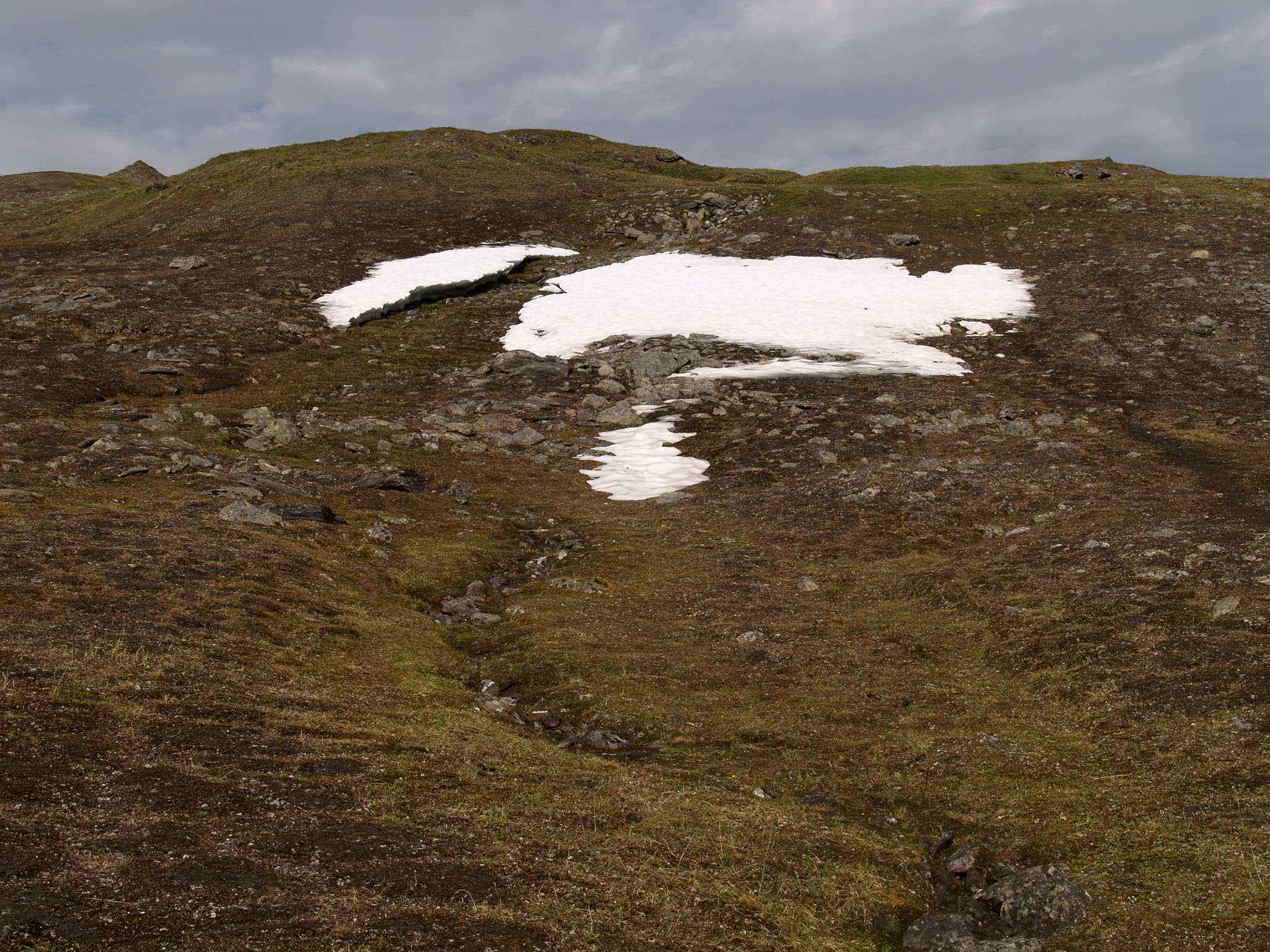 Sarek2007_WEB126.jpg