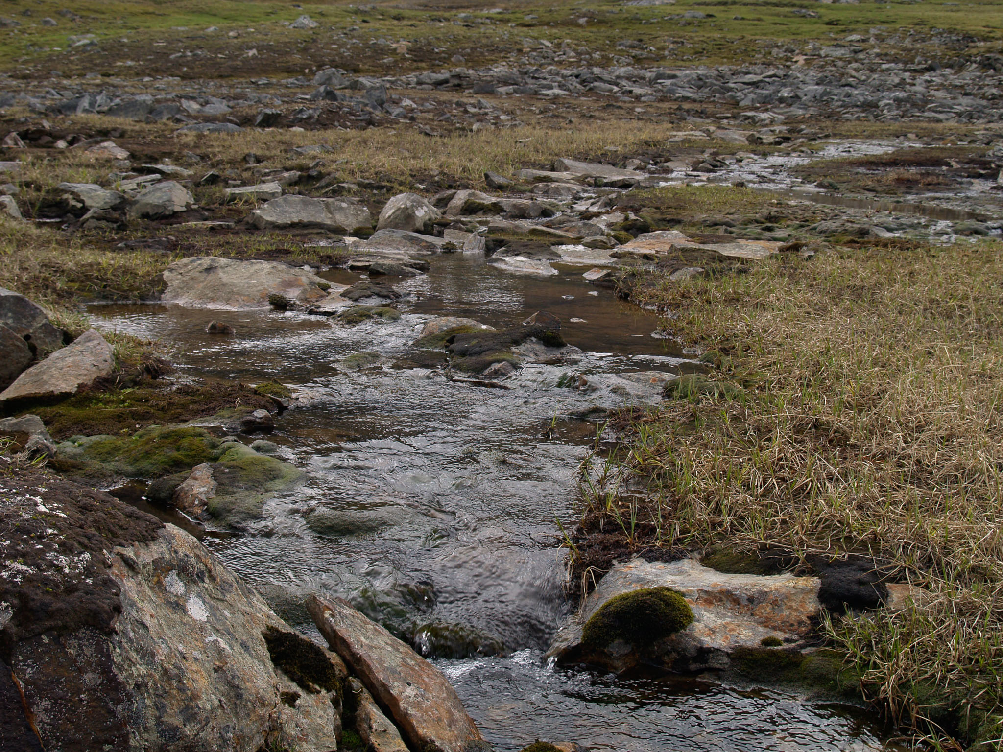 Sarek2007_WEB145.jpg