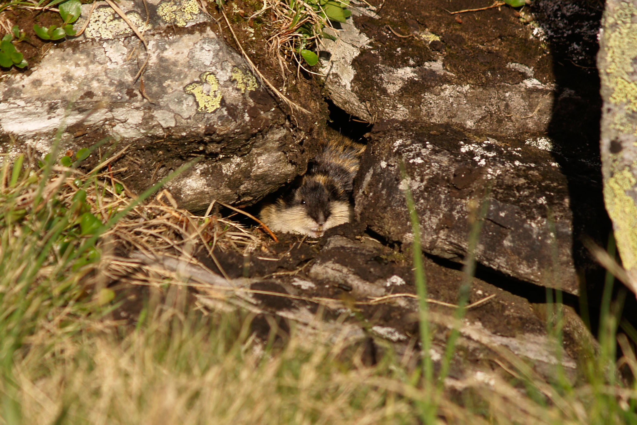 Sarek2007_WEB189.jpg