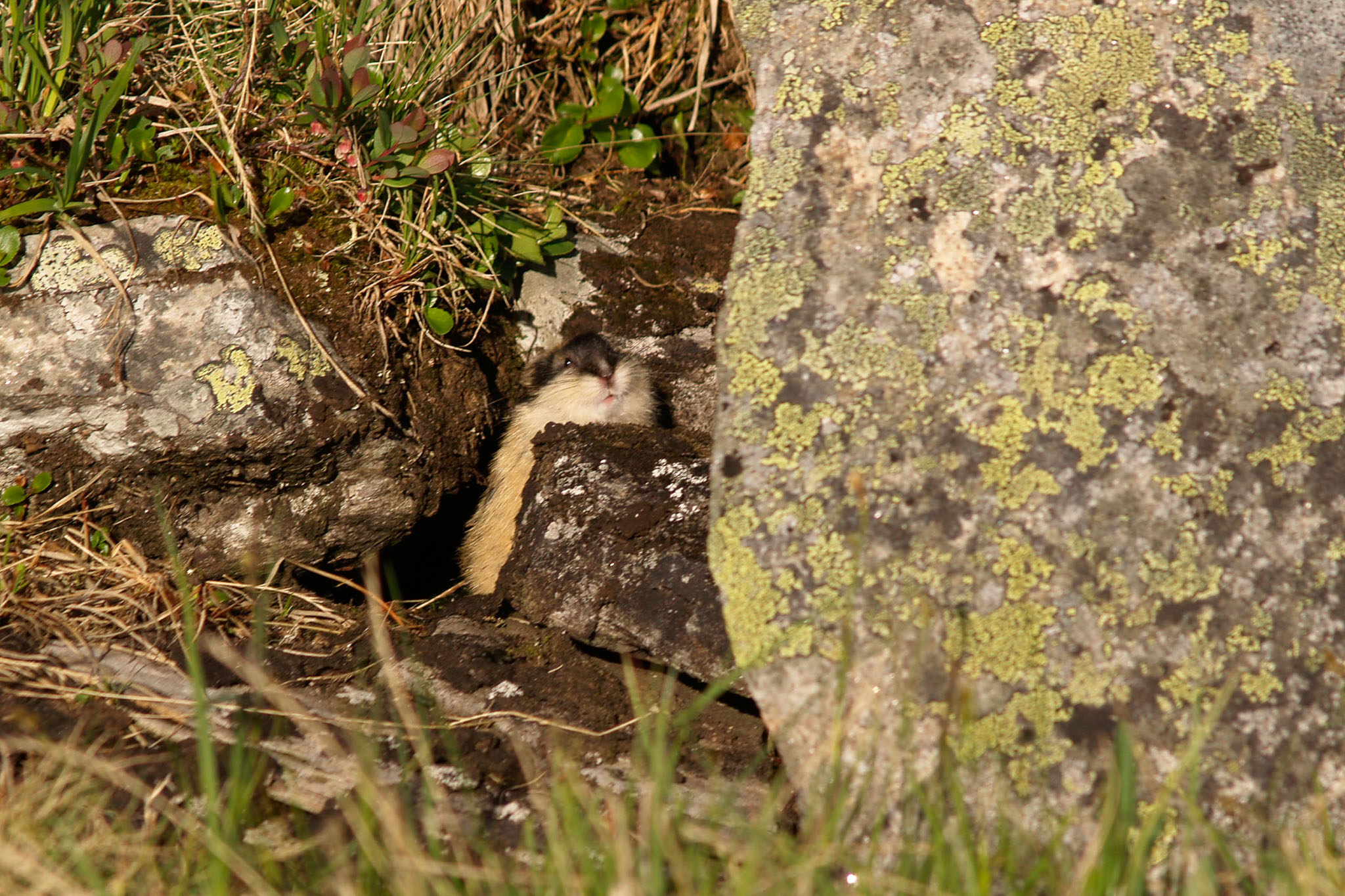 Sarek2007_WEB190.jpg