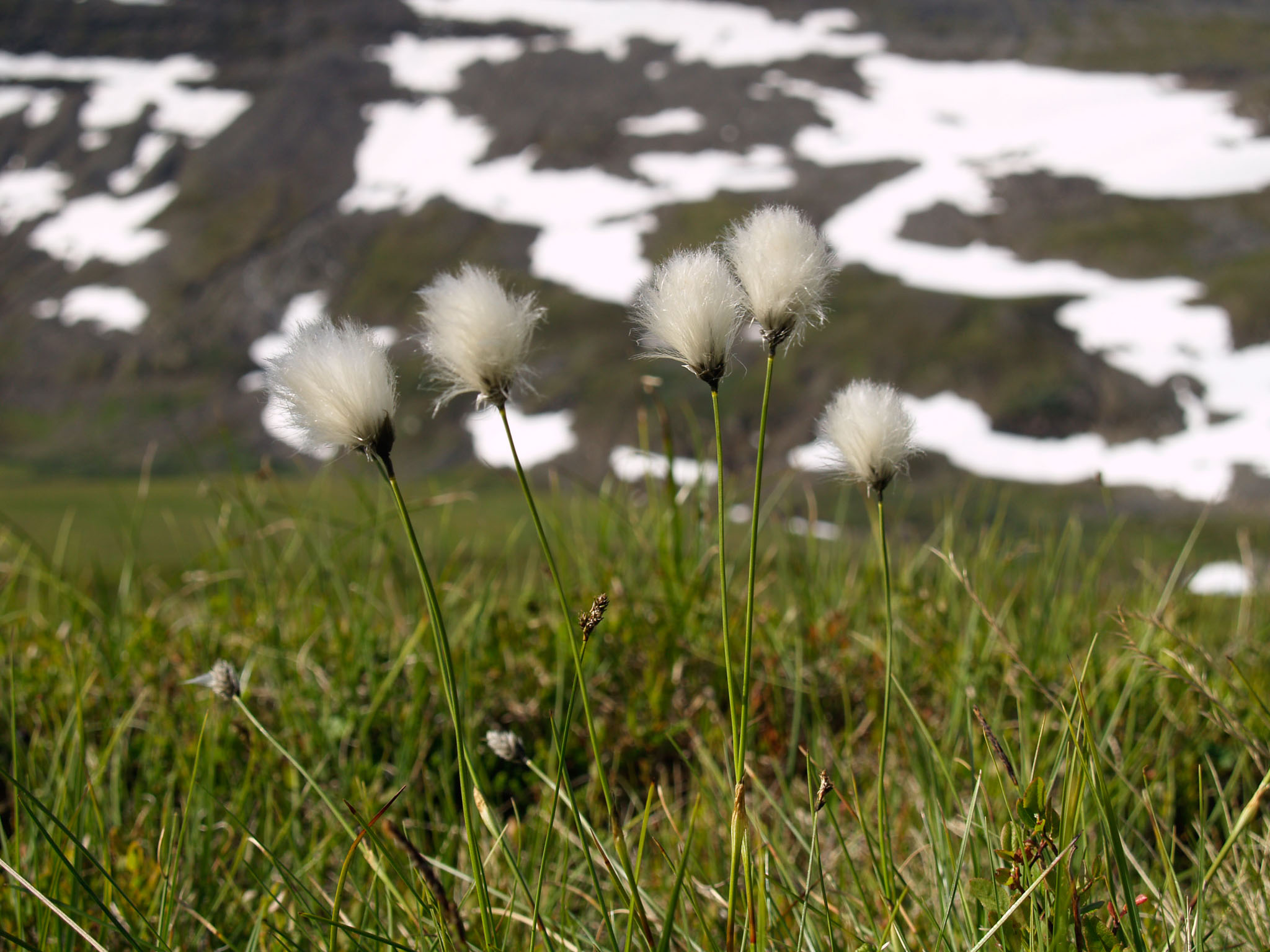 Sarek2007_WEB192.jpg