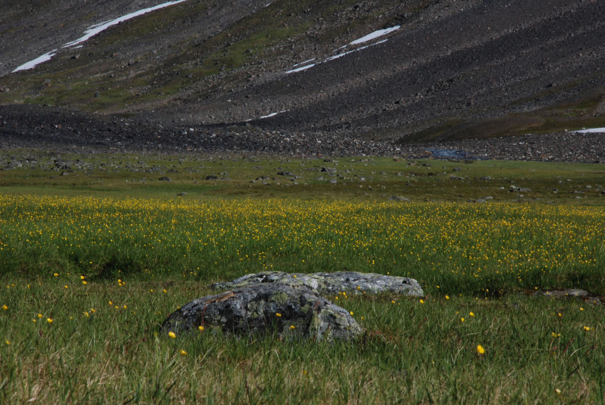 Sarek2007_WEB229.jpg