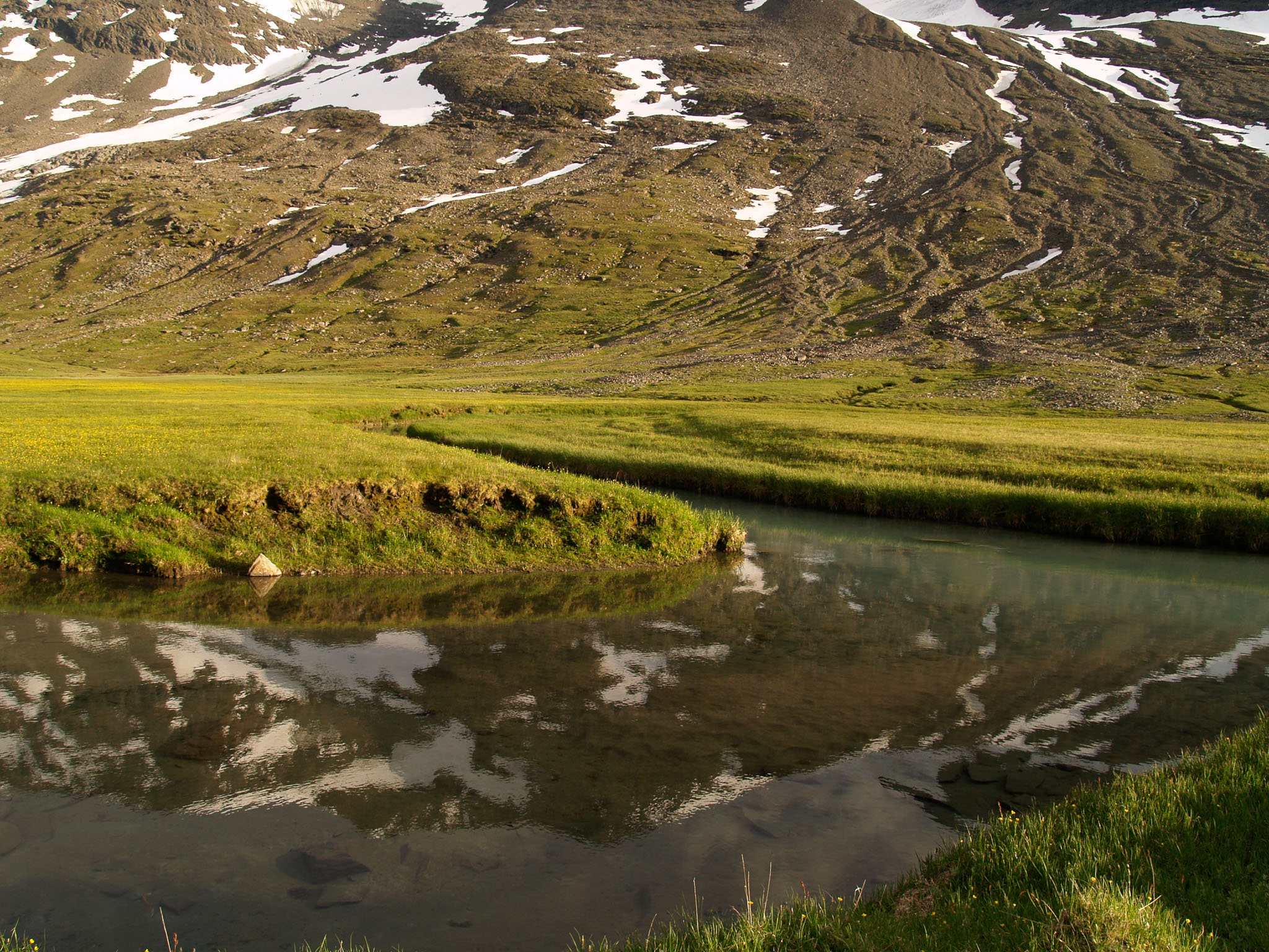 Sarek2007_WEB239.jpg