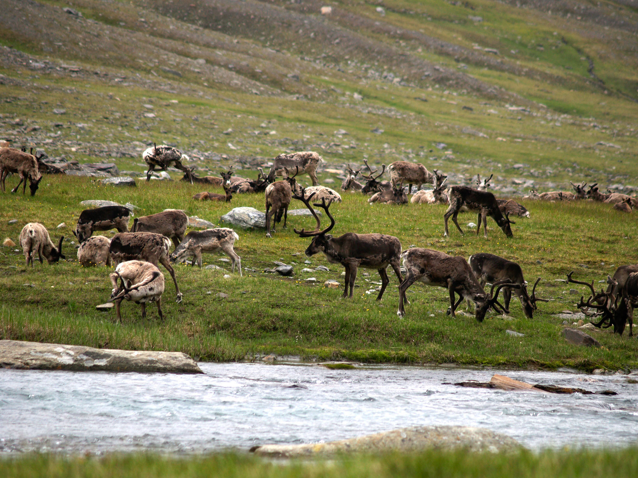 Sarek2007_WEB262.jpg