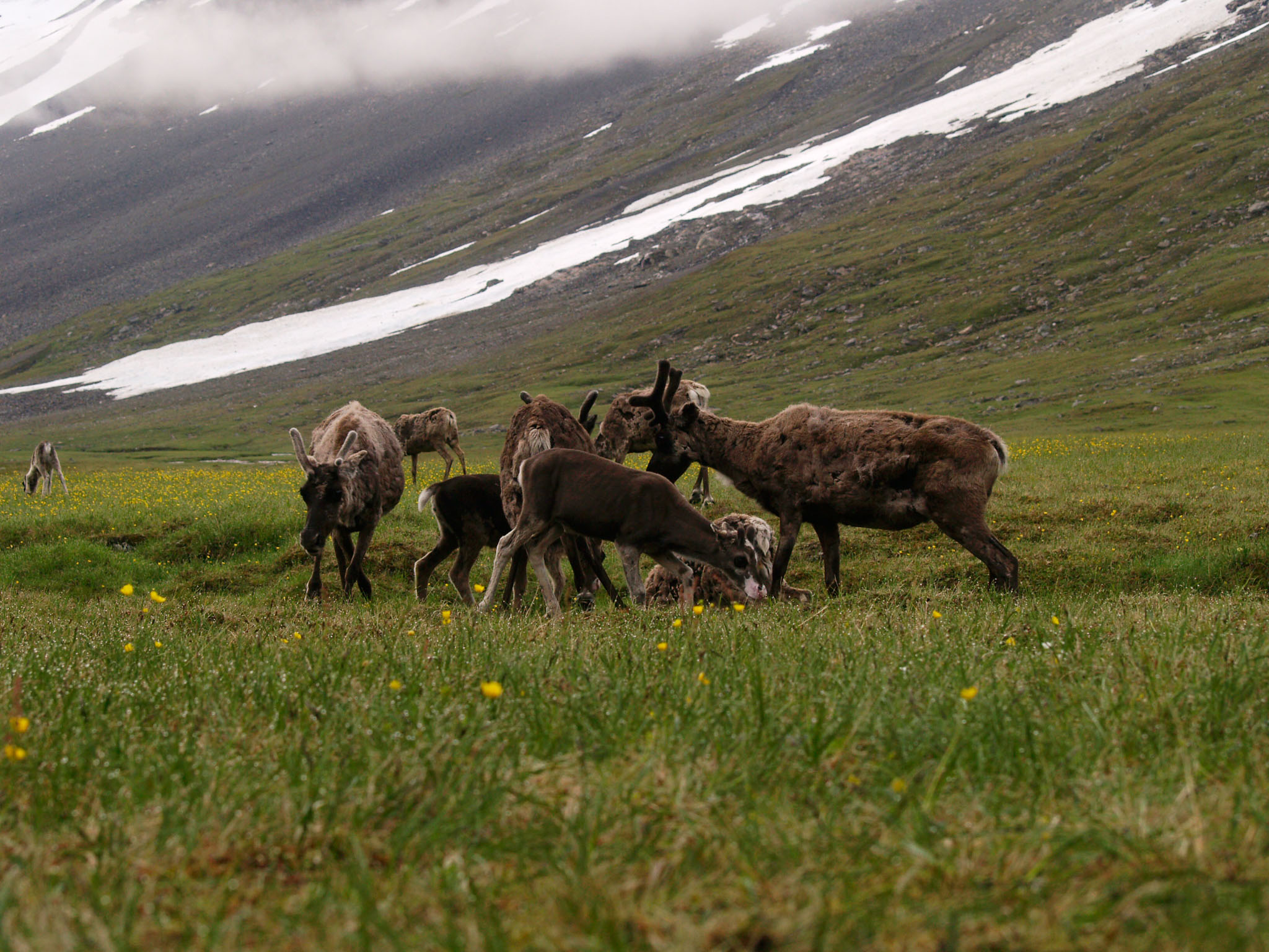 Sarek2007_WEB278.jpg