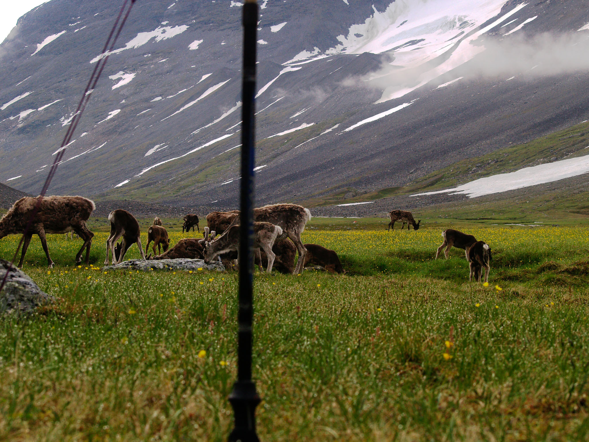 Sarek2007_WEB280.jpg