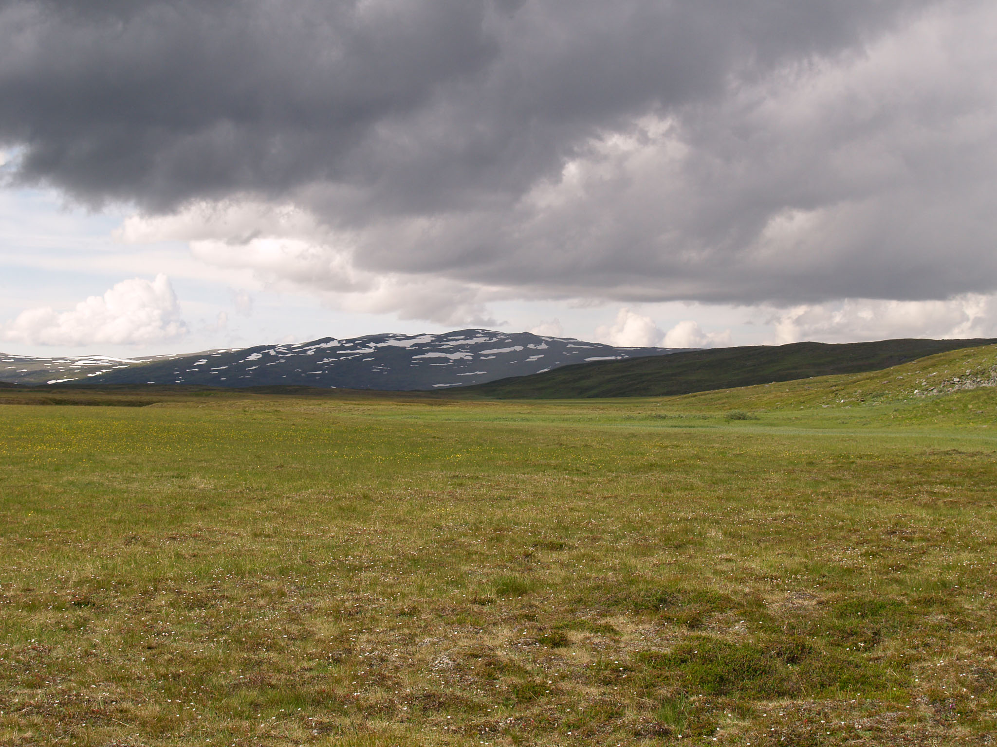 Sarek2007_WEB295.jpg