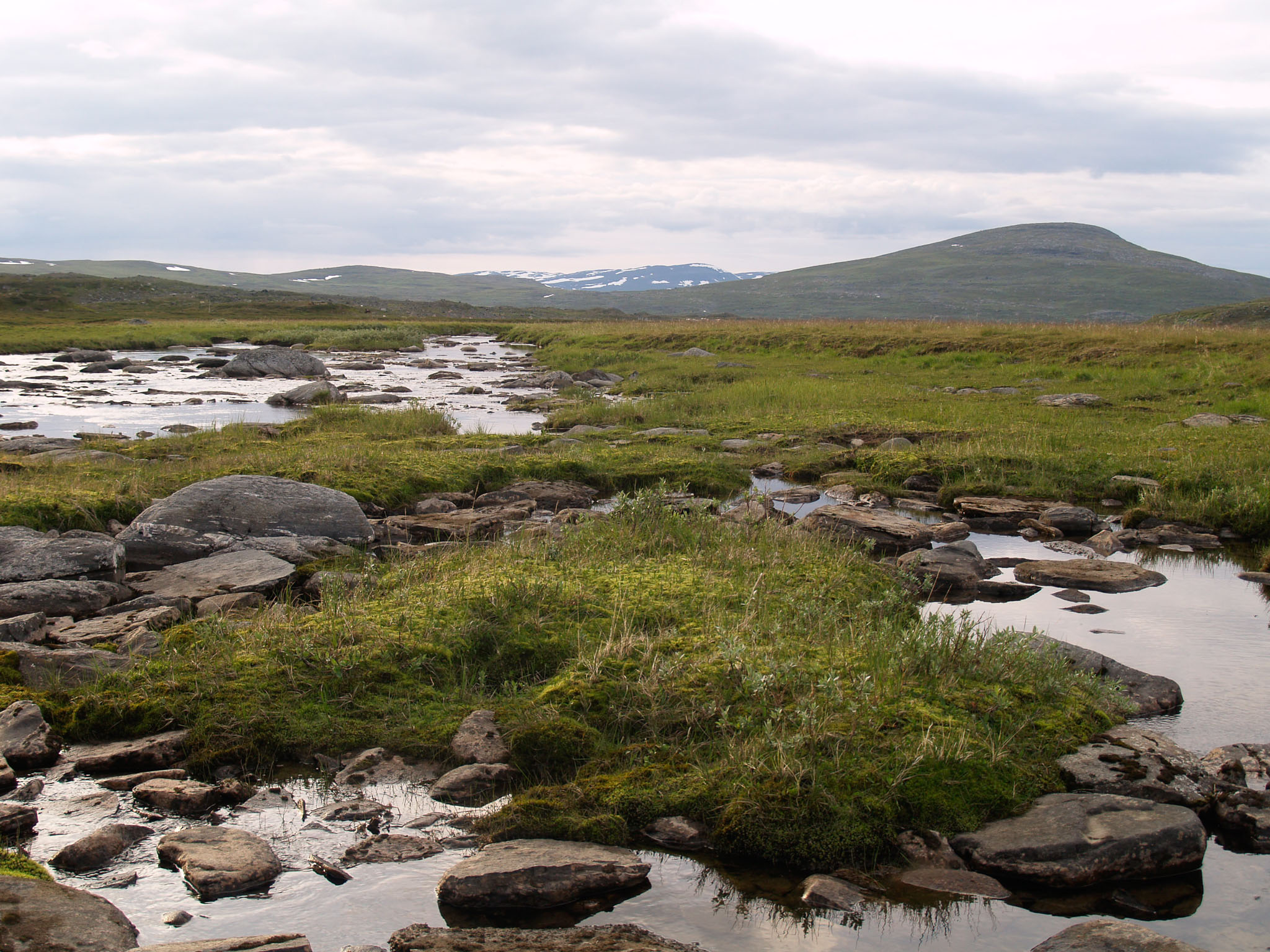 Sarek2007_WEB310.jpg