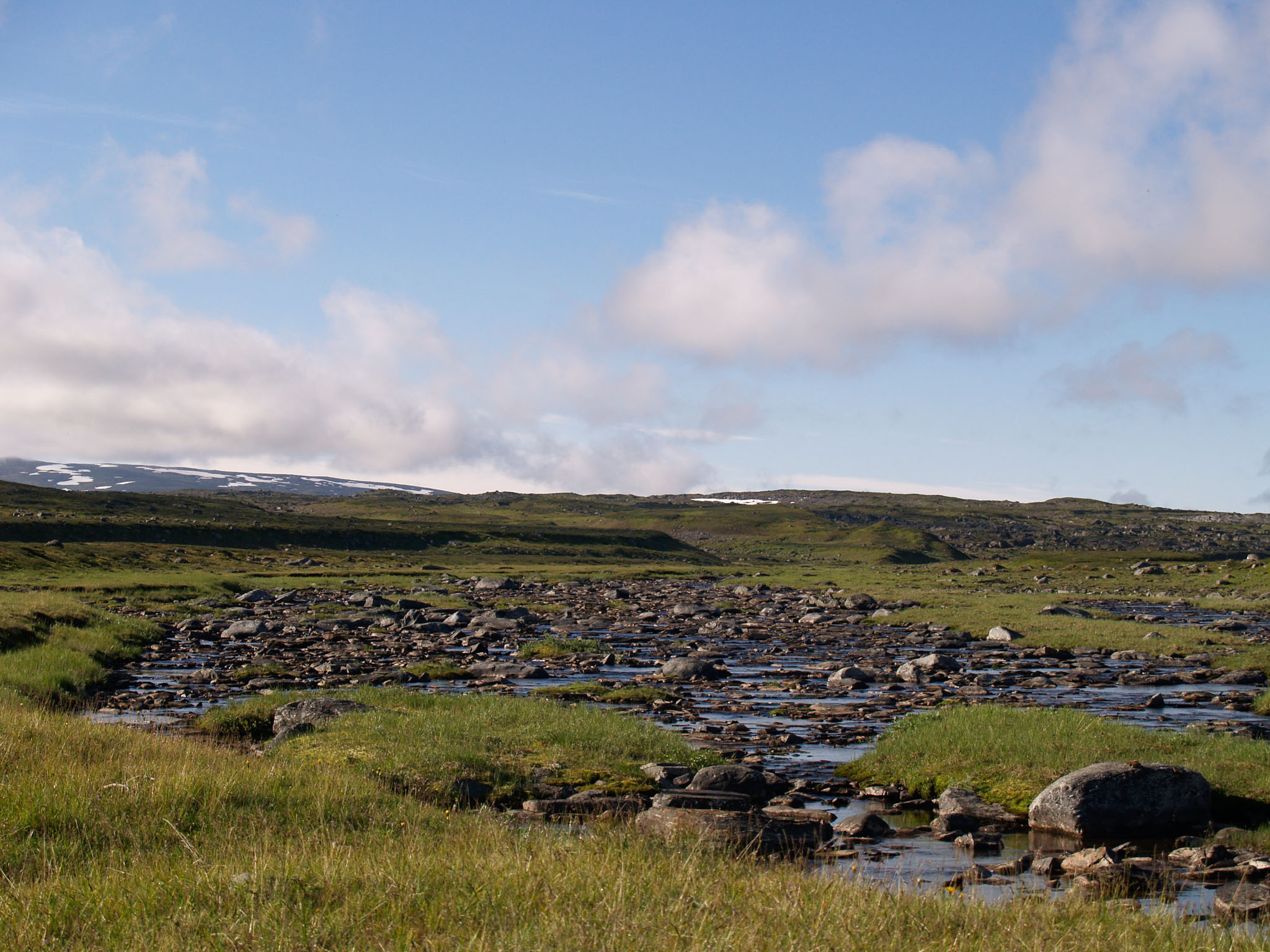 Sarek2007_WEB324.jpg