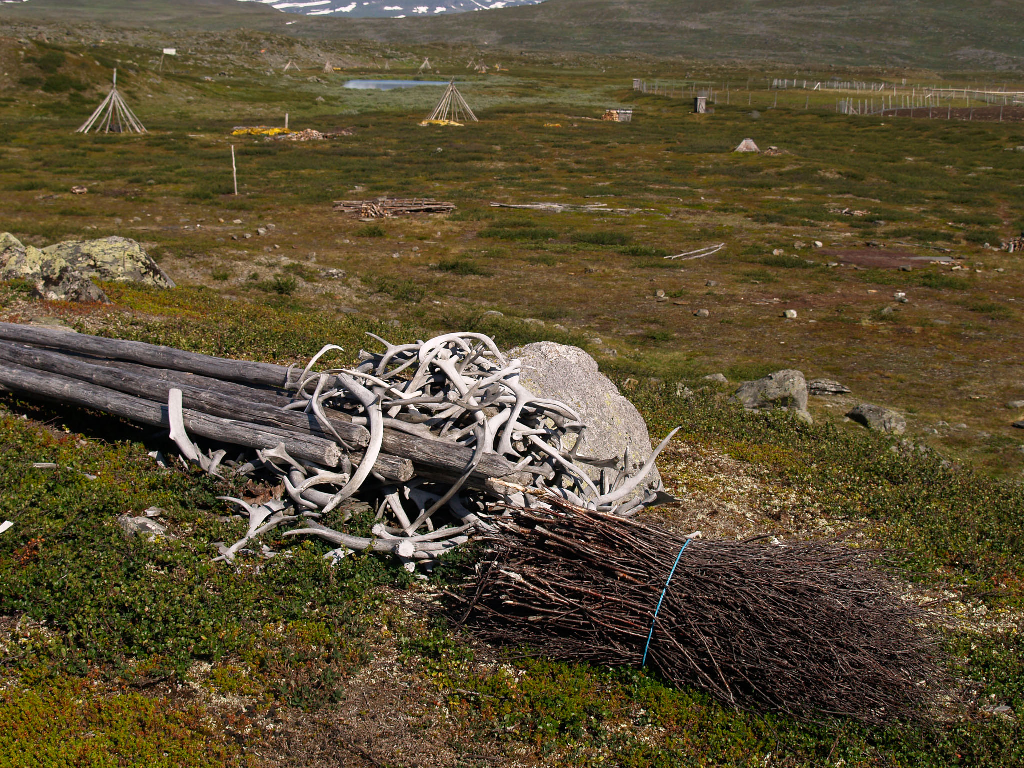 Sarek2007_WEB330.jpg