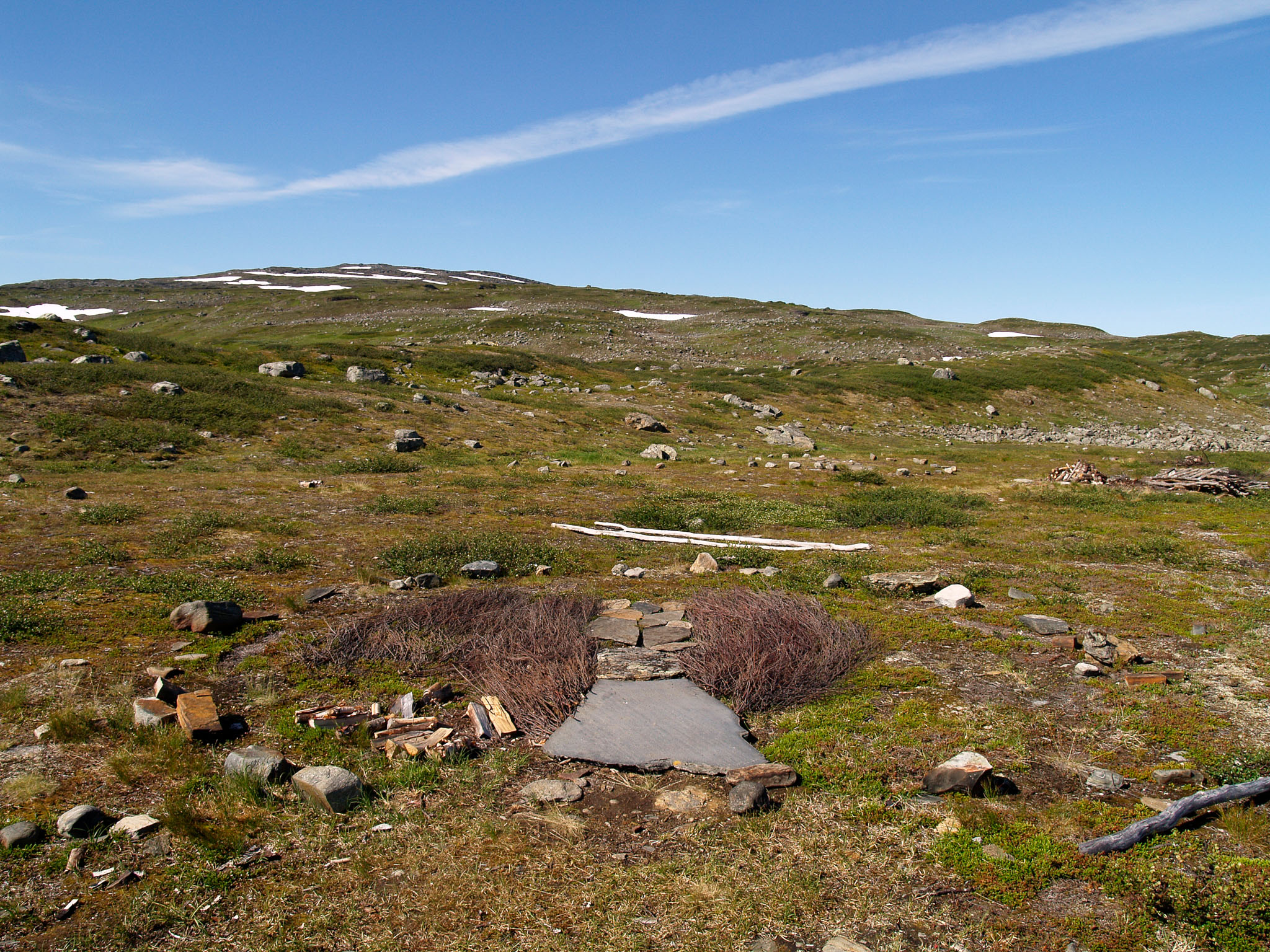 Sarek2007_WEB335.jpg