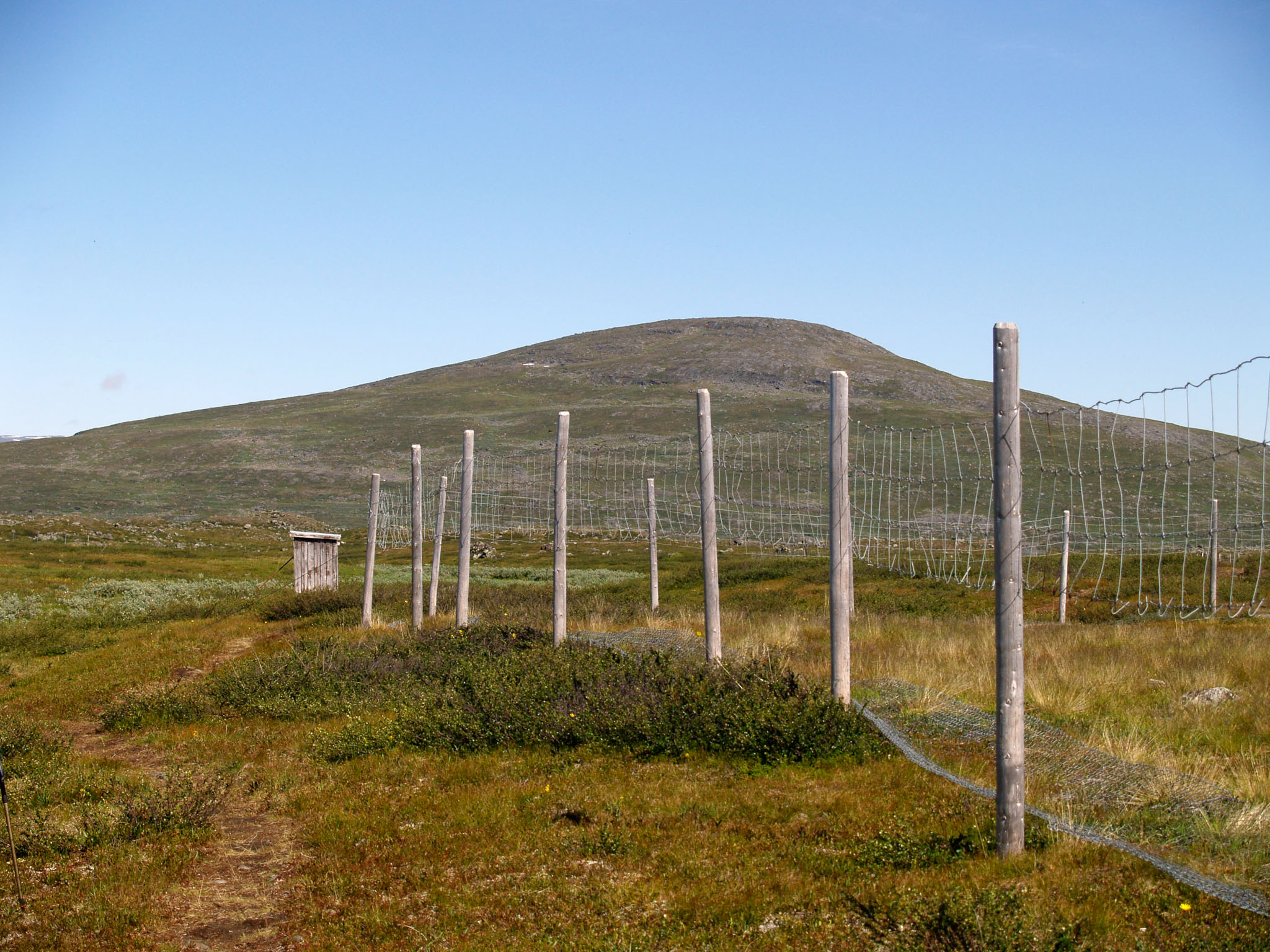 Sarek2007_WEB338.jpg