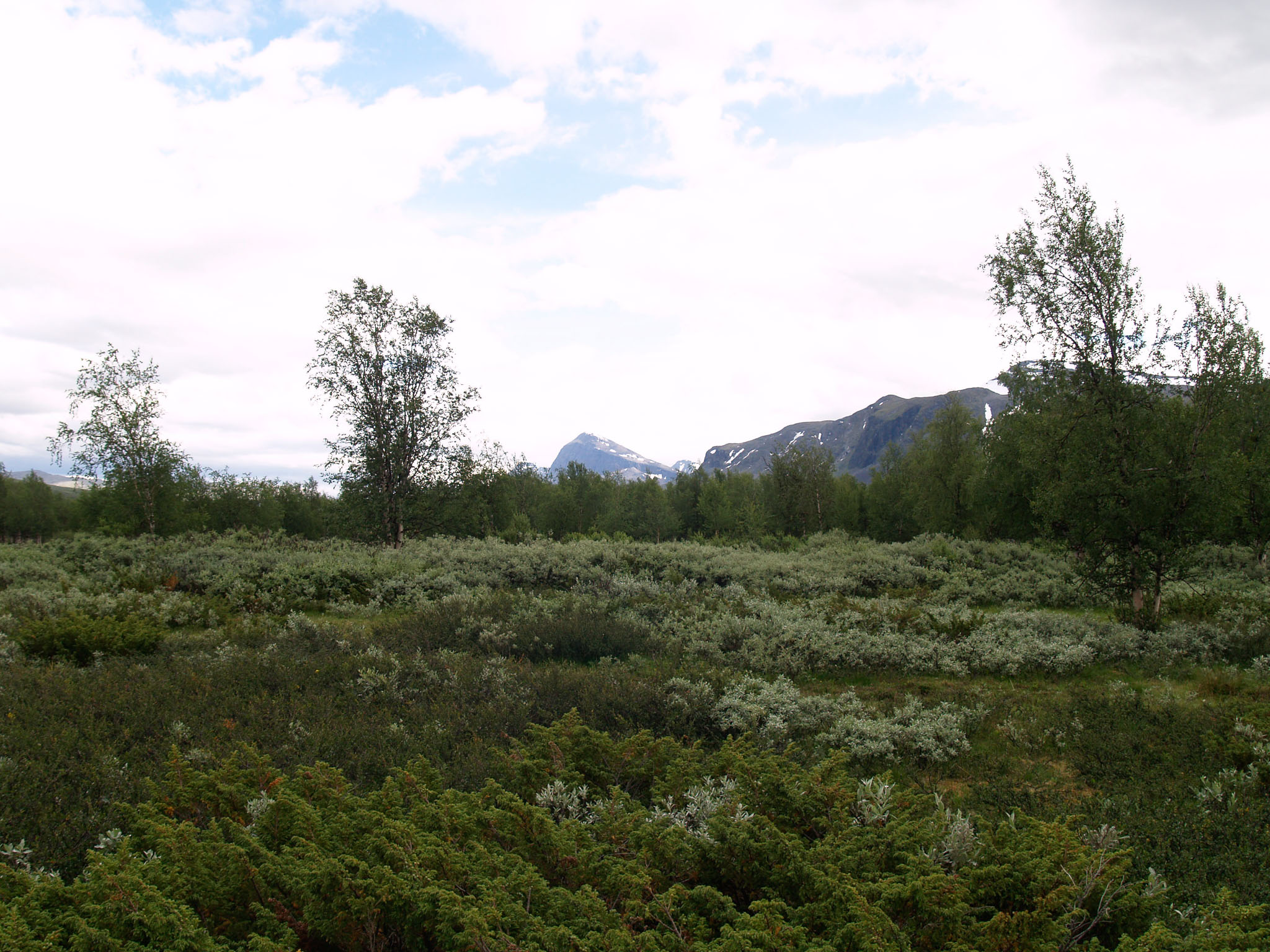 Sarek2007_WEB349.jpg