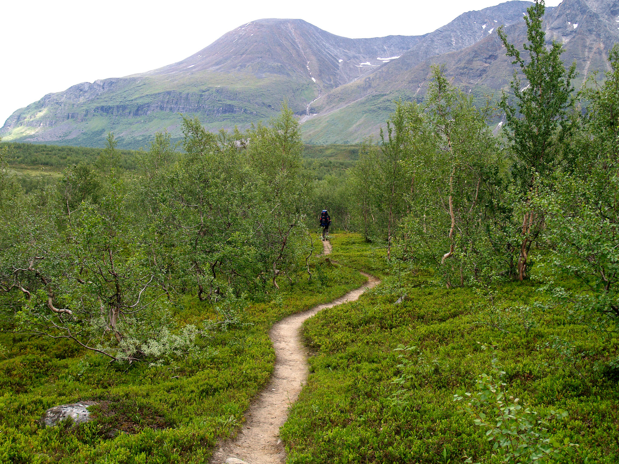 Sarek2007_WEB363.jpg