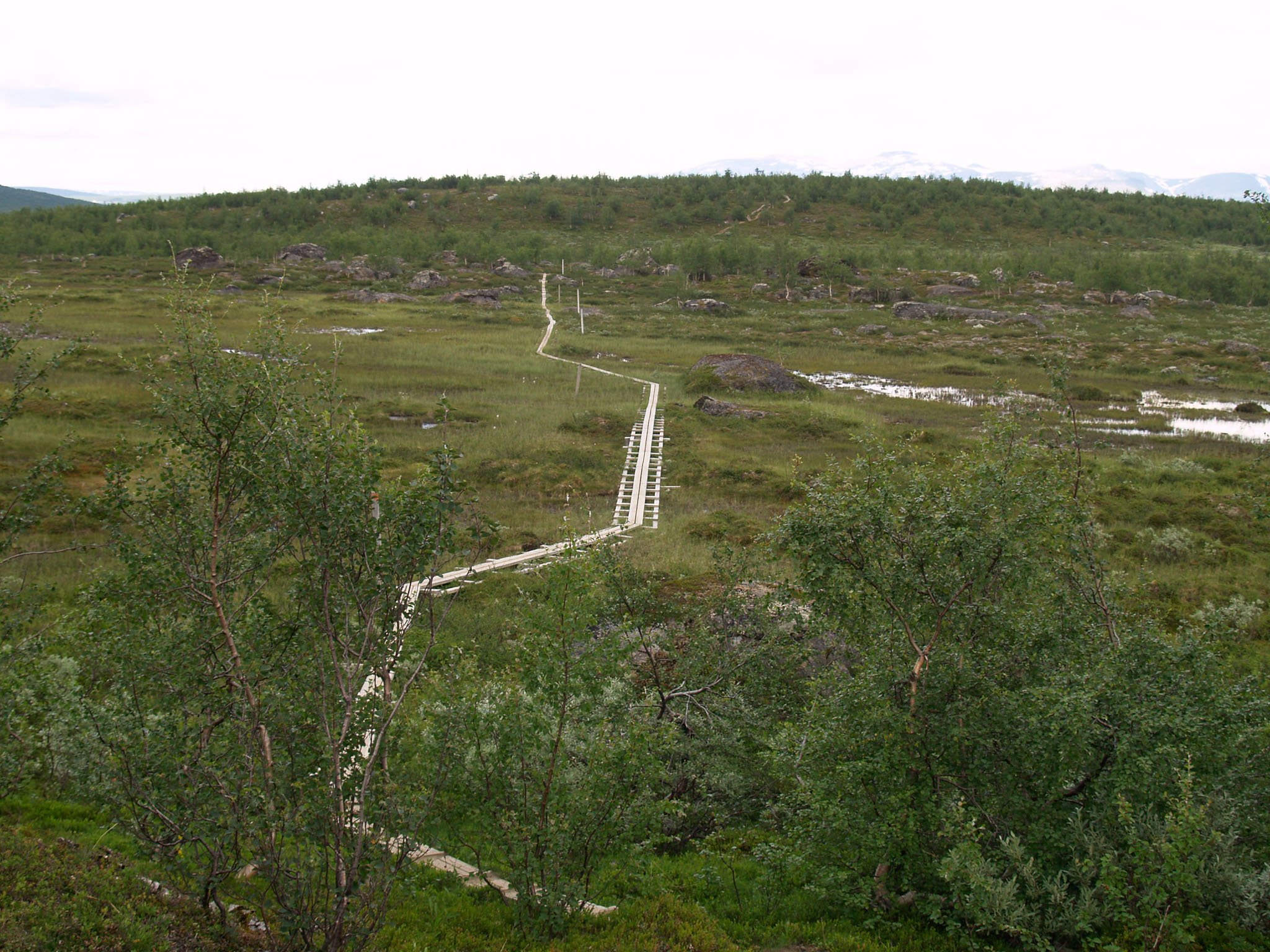 Sarek2007_WEB364.jpg