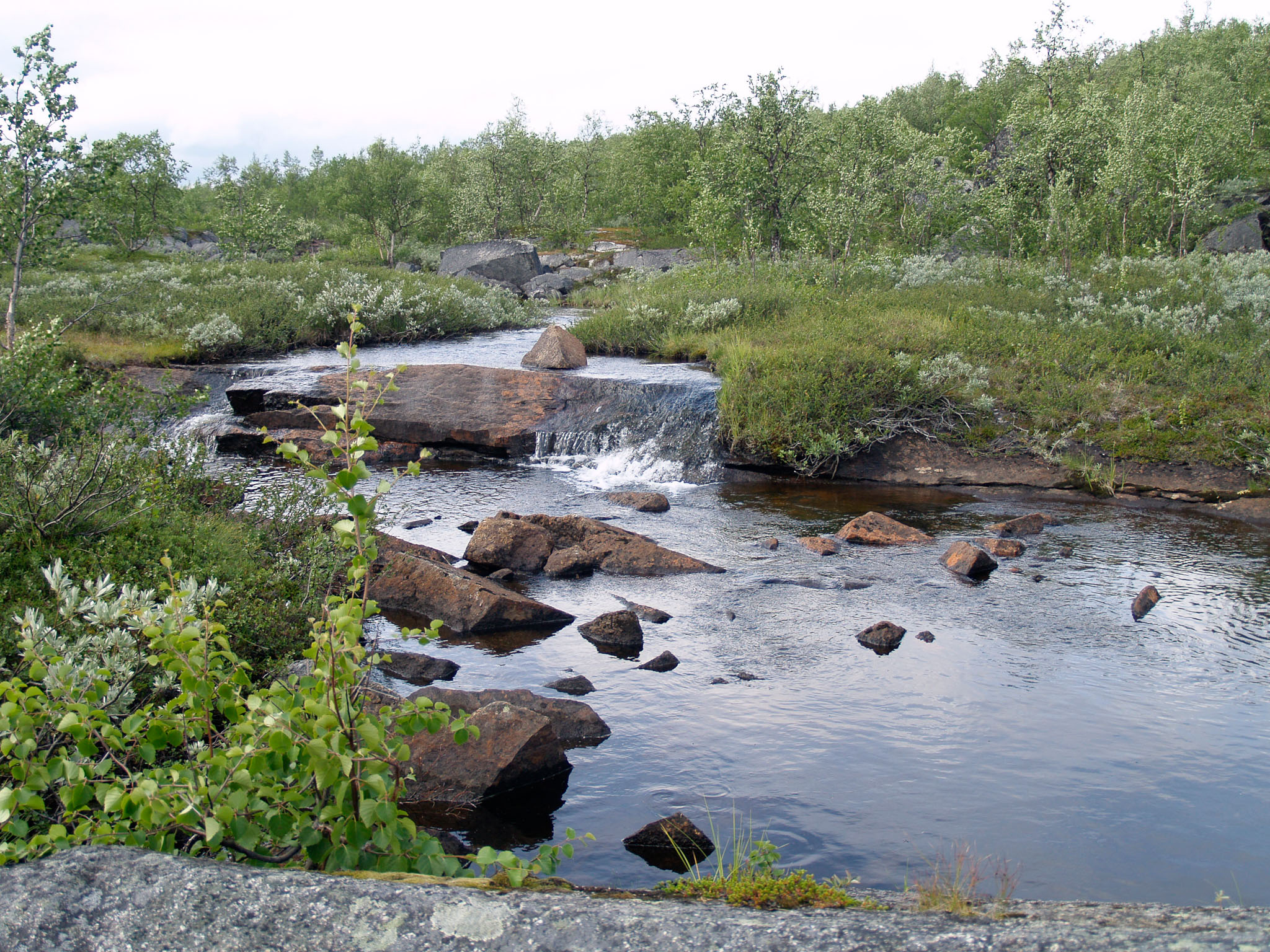 Sarek2007_WEB372.jpg