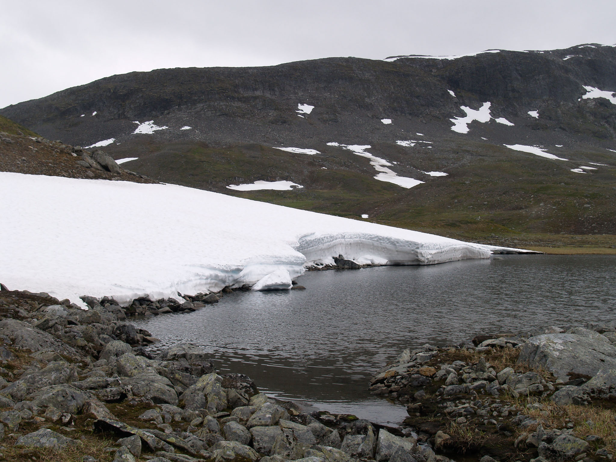 Sarek2007_WEB61.jpg