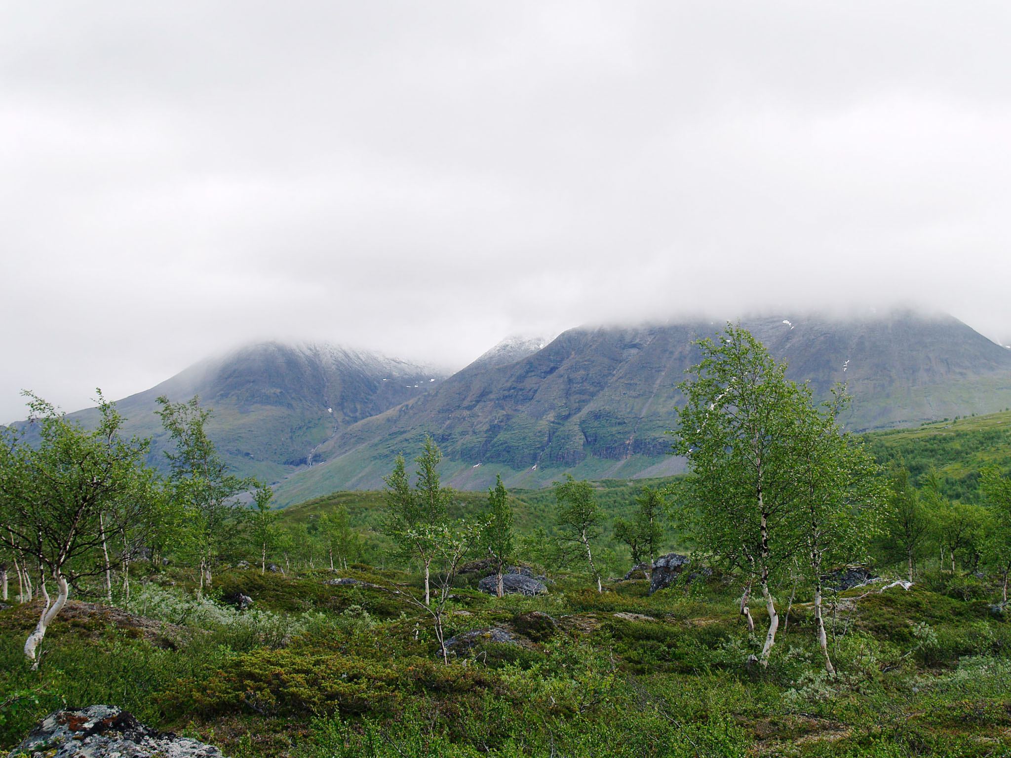 00034Sarek-2006.jpg