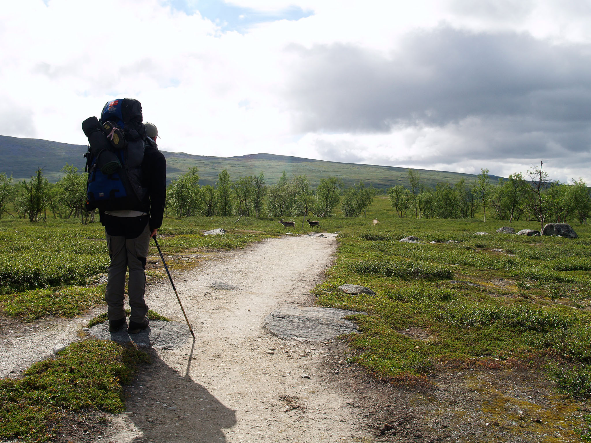 00037Sarek-2006.jpg