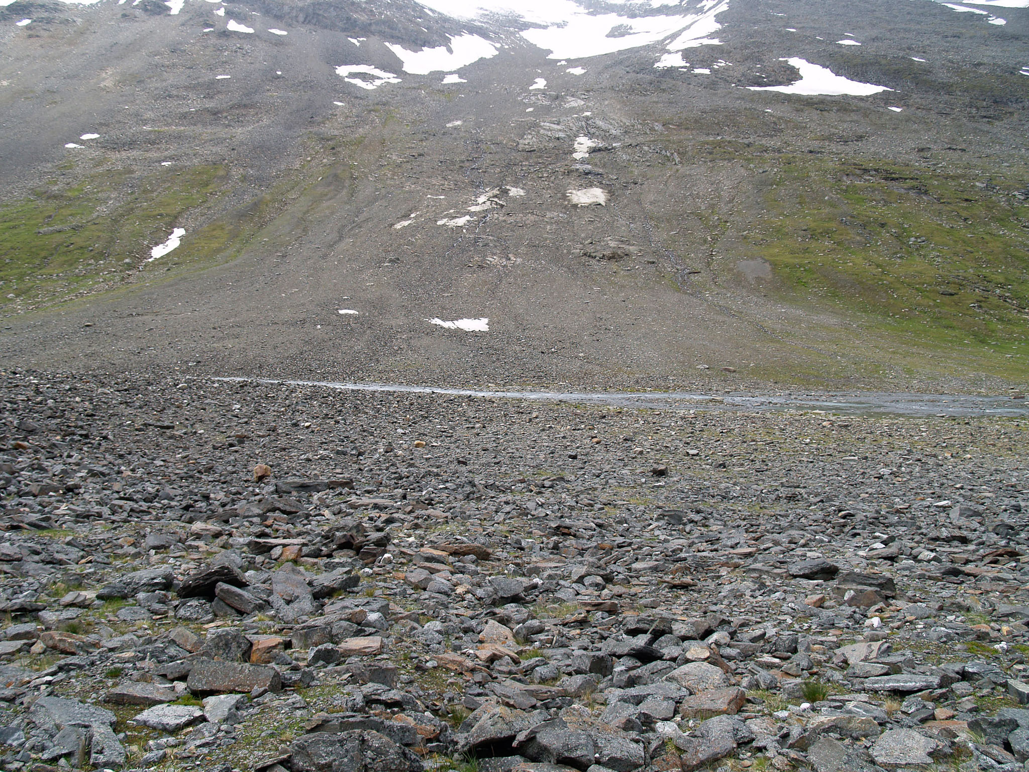 00183Sarek-2006.jpg