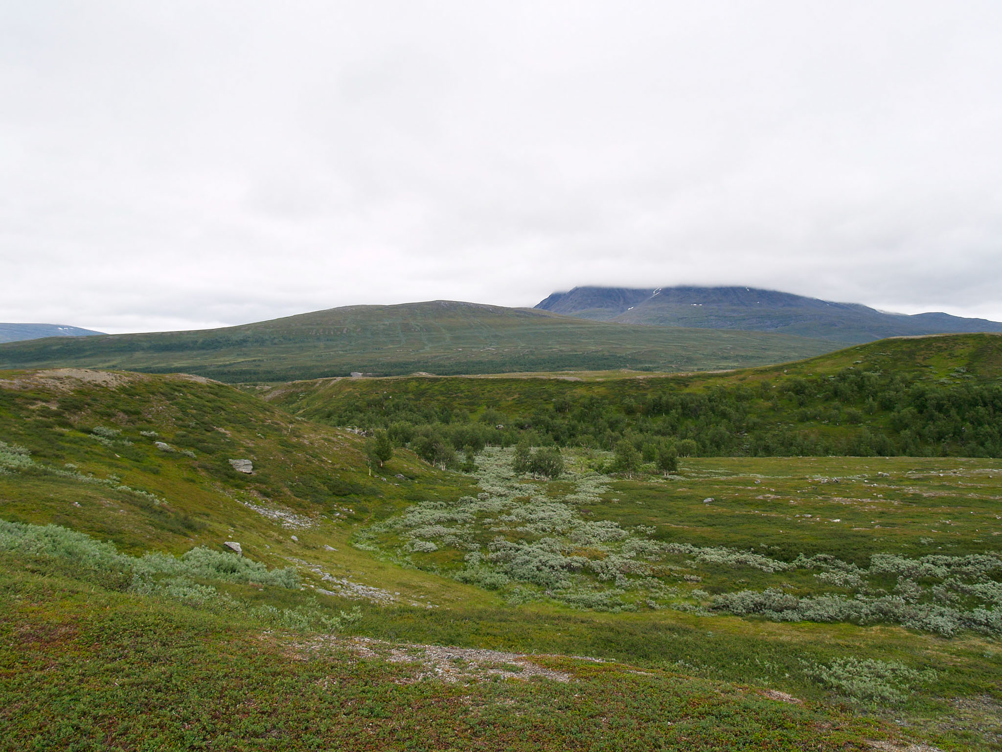 00270Sarek-2006.jpg