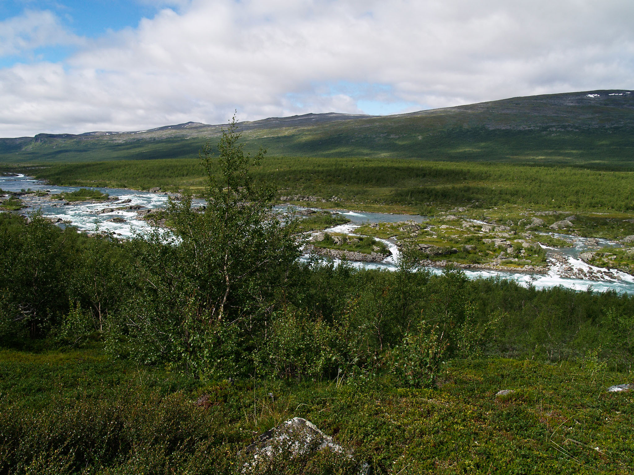 00294Sarek-2006.jpg