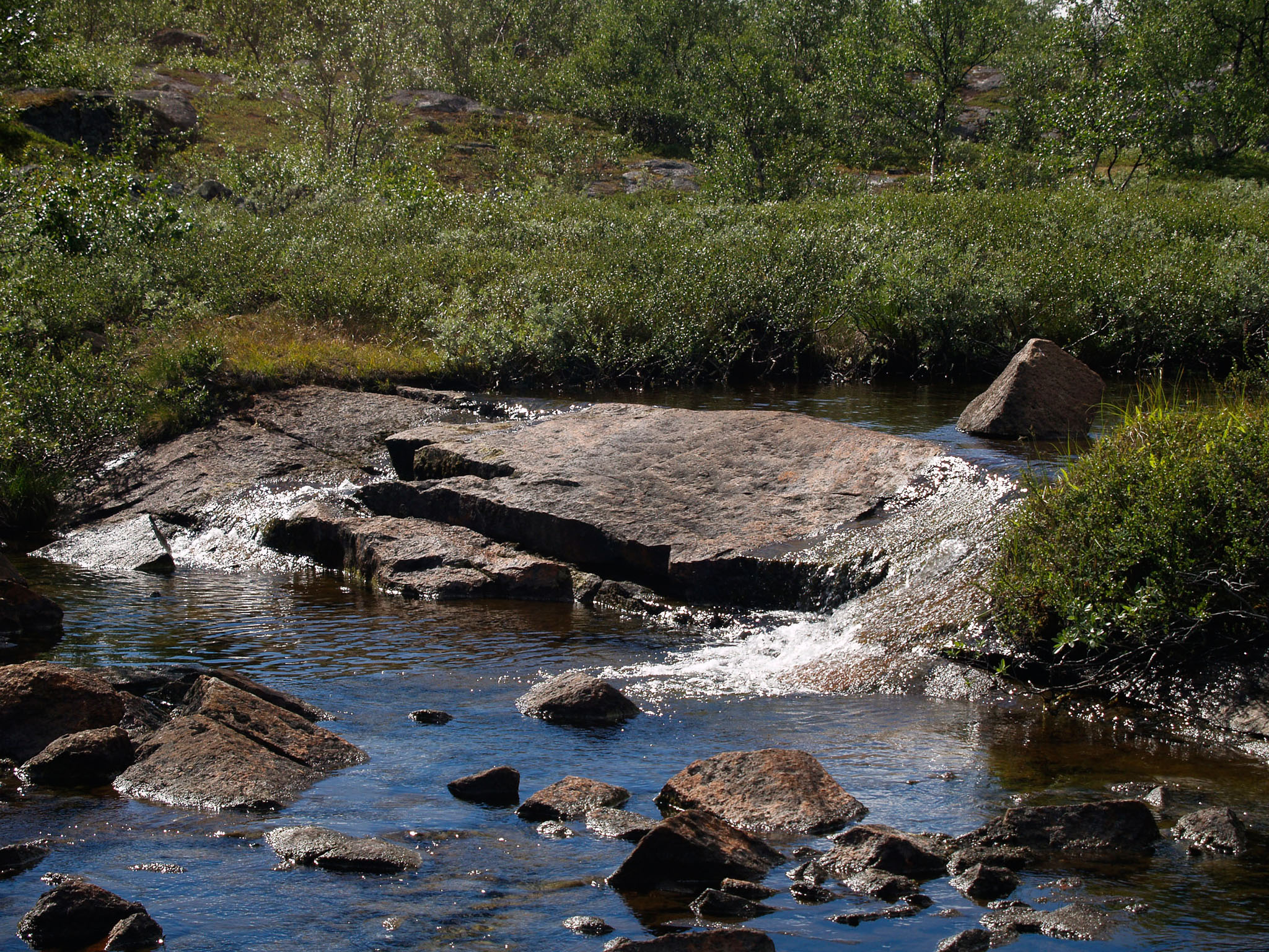 00302Sarek-2006.jpg