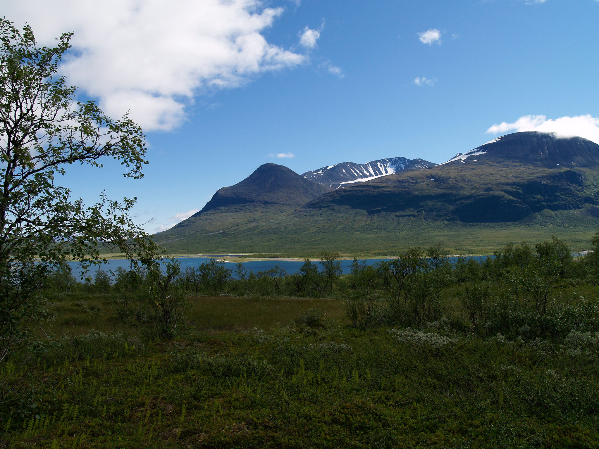 00303Sarek-2006.jpg