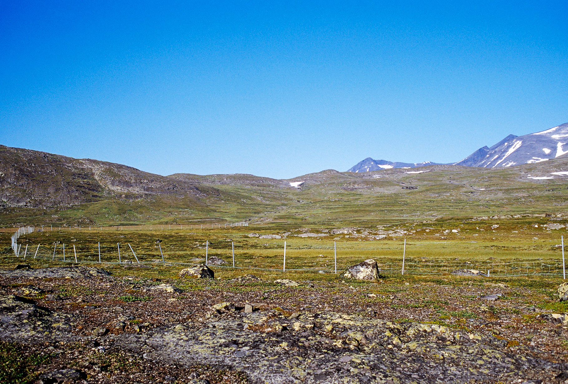 00040Sarek2003_w.jpg