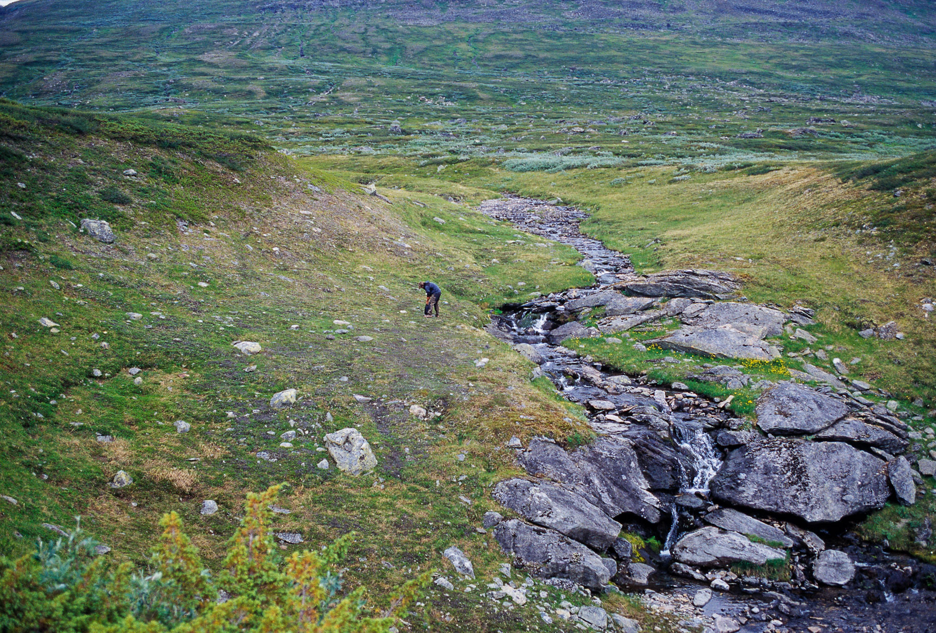 00049Sarek2003_w.jpg