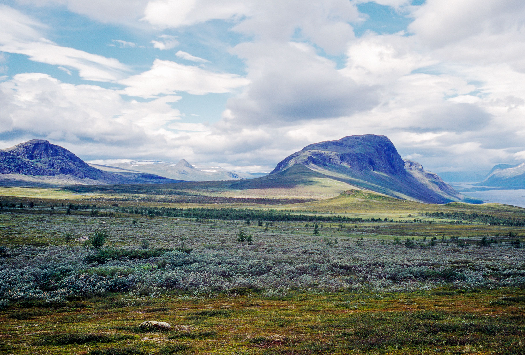 00086Sarek2003_w.jpg